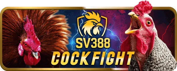 Câu Hỏi Thường Gặp về ST6667